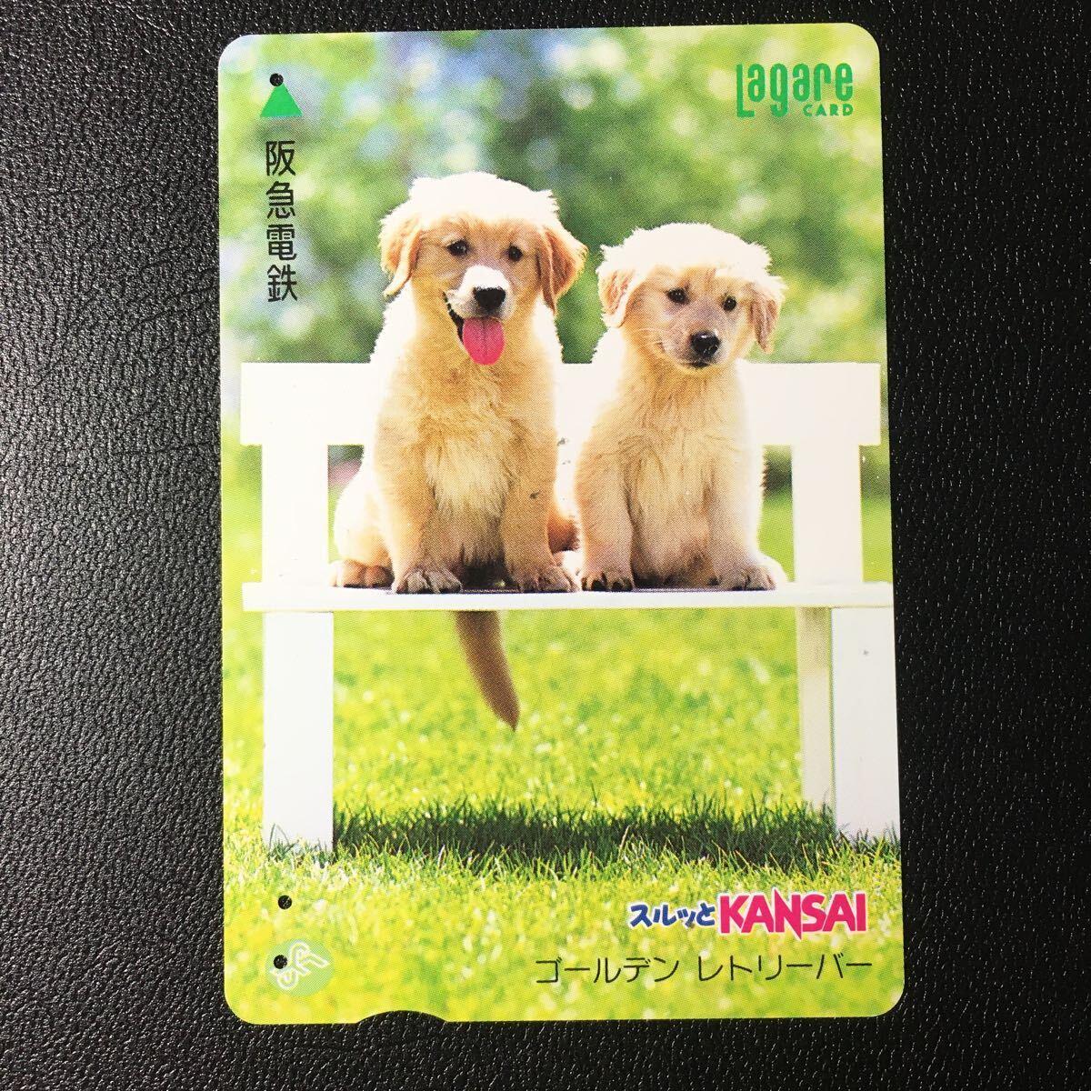 1995年10月15日発売柄ー子犬シリーズ「ゴールデンレトリーバー」後年再販第二版ー阪急ラガールカード(使用済スルッとKANSAI)_画像1