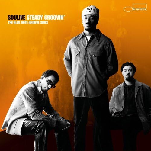 貴重廃盤 Soulive Steady Groovin ソウライヴ　ブルーノート時代のベスト　国内盤　ボートラとして大ヒットの“steppin remix ”も収録_画像1
