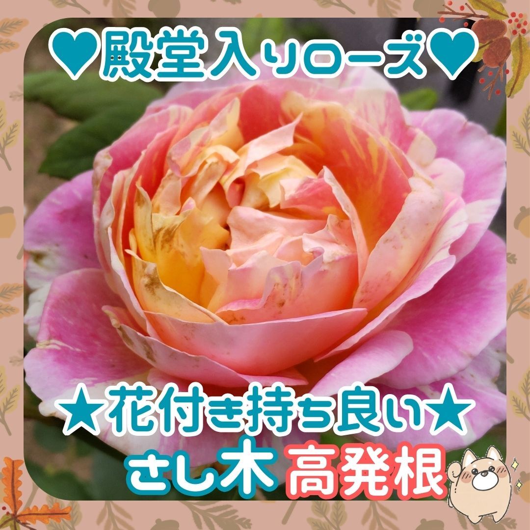 F◆ высота  ...◆... входит  роза ... ...  дерево x 3 штуки   около 10cm◆...②◆ цветы   идет в комплекте  хороший ...