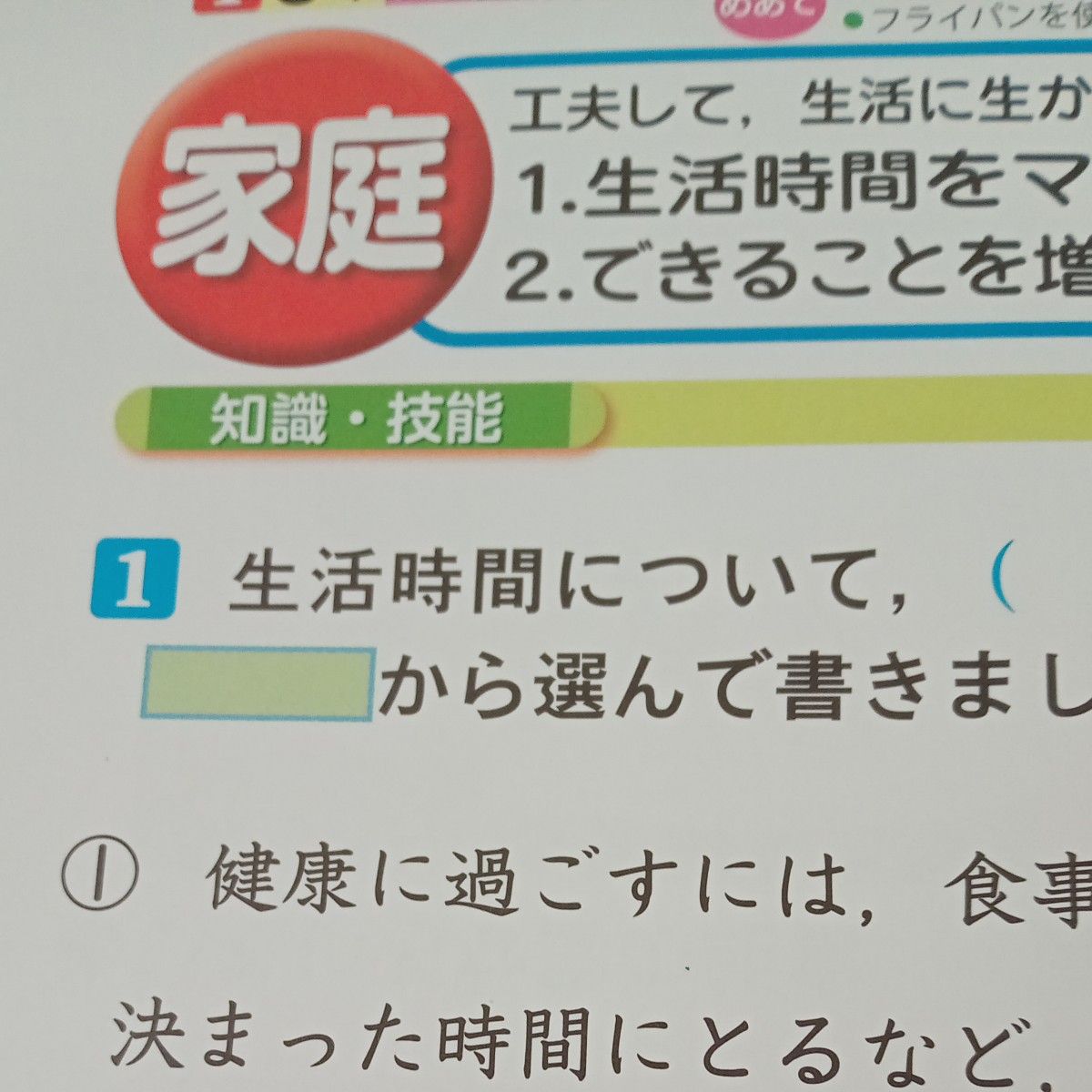 しょうがく社 ホームワーク10ヶ月分、復習プリント等年長【非売品】 小学6年生 家庭科 開隆堂 教育同人社 カラー プリント テスト