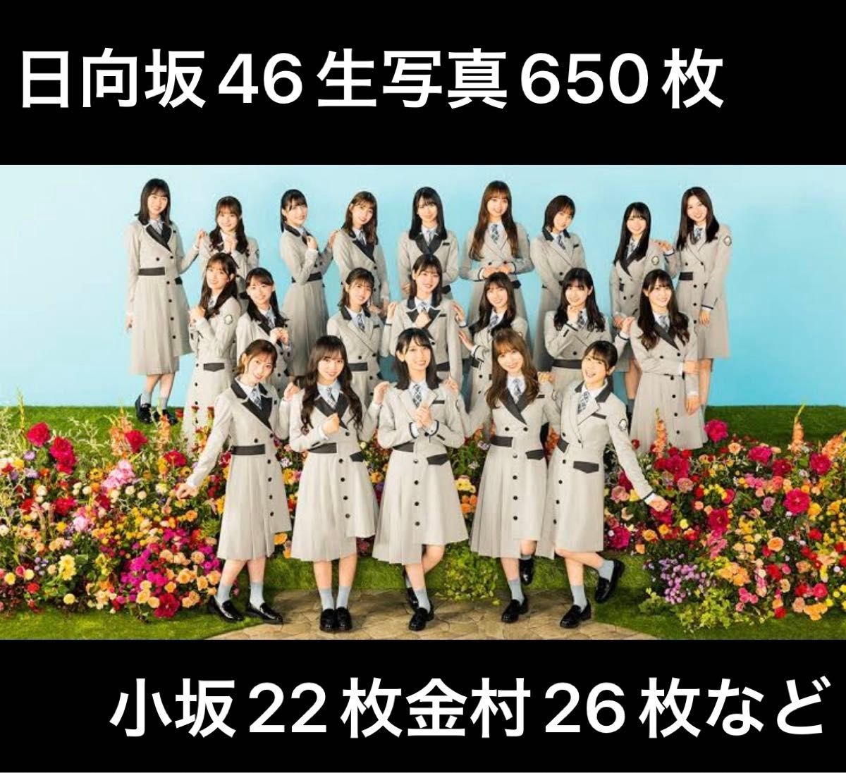 日向坂46 生写真 約650枚 まとめ売り