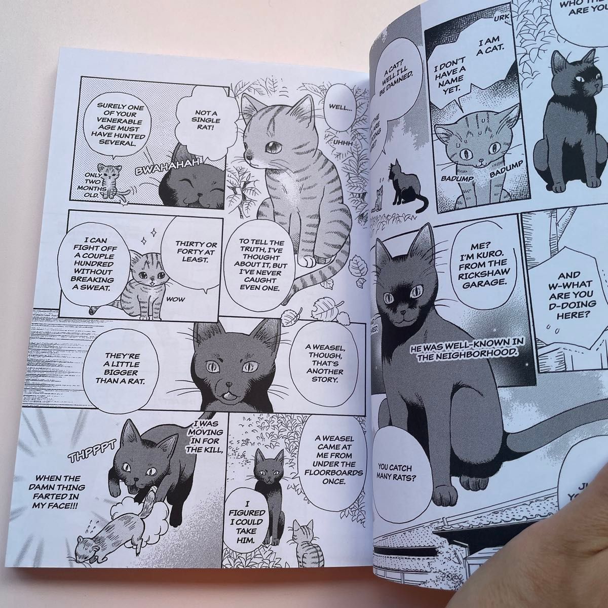 吾輩は猫である　 洋書 英語 英語絵本　漫画