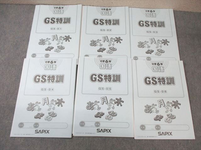WL03-008 SAPIX 小6 サピックス GS特訓 国語 【計6回分】 2022 15m2D