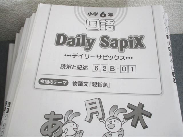 WN11-094 SAPIX 小6 国語 デイリー/スプリング/サマーサピックス 2022年度版 通年セット/テスト6回分付 計100冊 ★ 00L2D_画像3