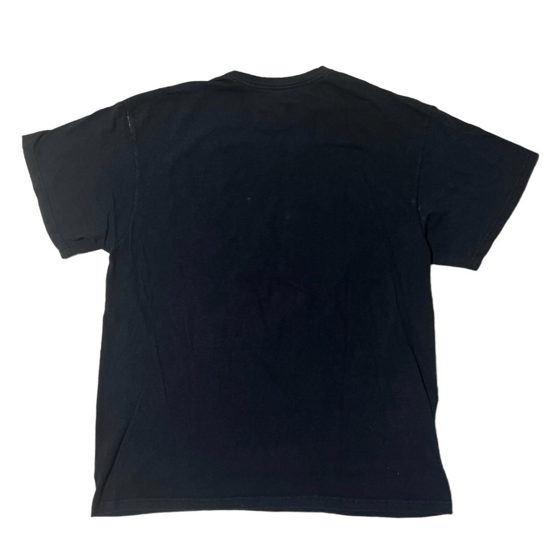 トニーホーク 半袖Tシャツ ライオン DJ アニマルT ラスタカラー e66 L相当_画像2