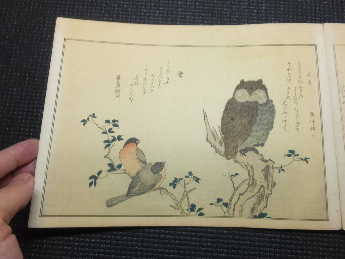 ... песня ...！1100 птица ！ период Тайсё 4 год ...！... дерево  издание ...！　　　　　... год  цветы   птица ... шт.  ... картина  Suzuki  весна  ... песня ... картина ... Япония  дерево  издание ...