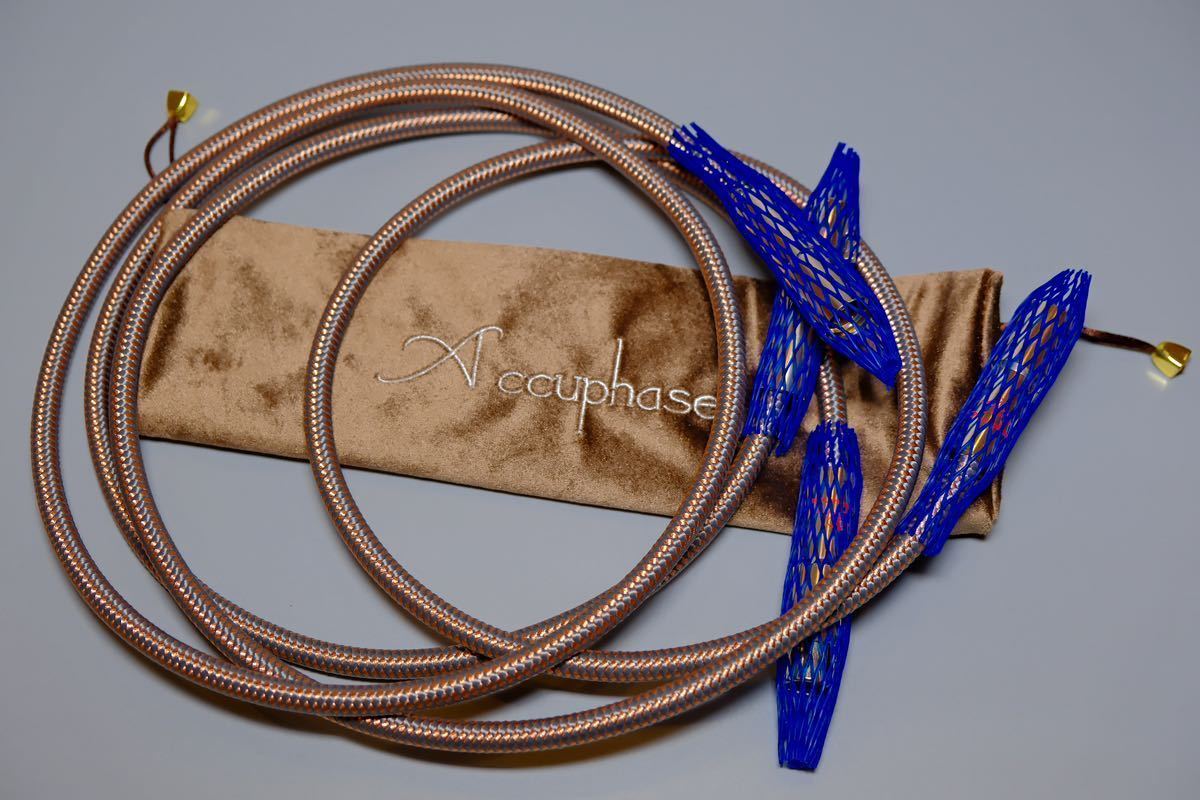  Accuphase Accphace40 годовщина xlr 1.5m пара 