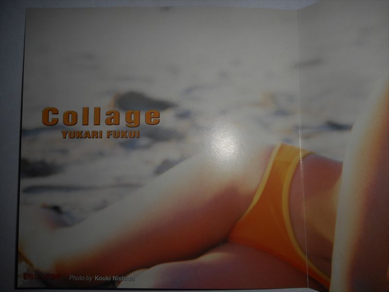 DVD Fukui Yukari Collage день terejenik2000