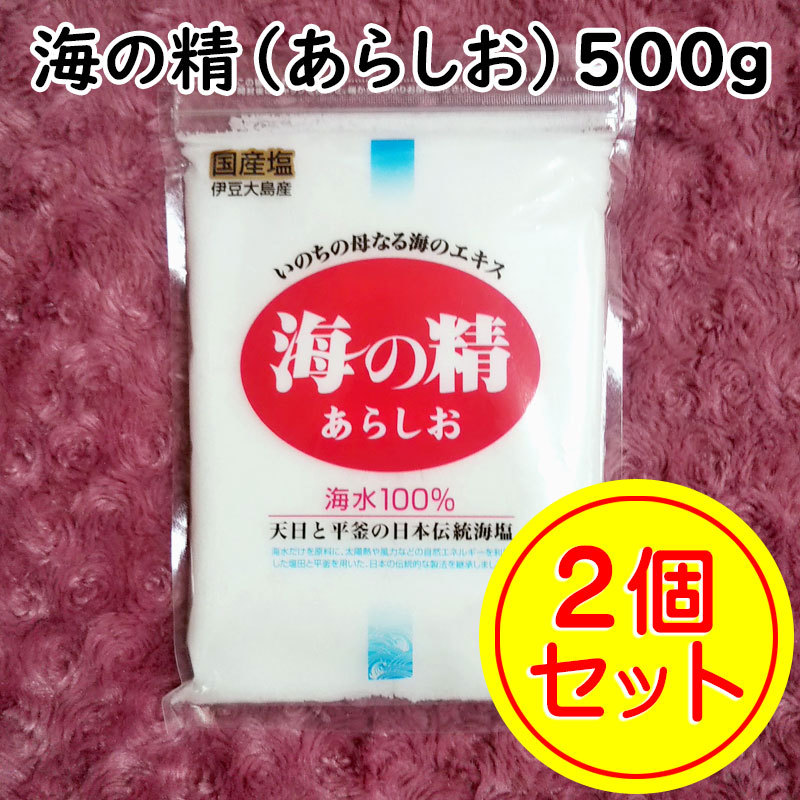 【送料無料】斎藤一人さんオススメの自然塩 海の精 あらしお 500g×2袋（can0993）結界塩 天然塩 あら塩_画像1