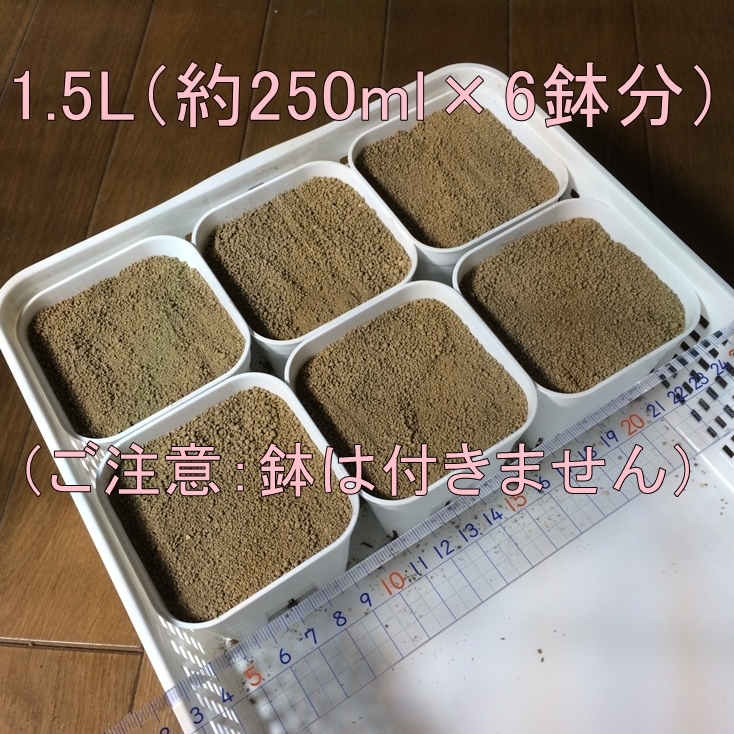 多肉植物の種まき用の表土1.5L 細粒硬質赤玉土（1mm程度）