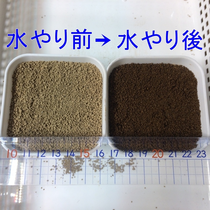 多肉植物の種まき用の表土1.5L 細粒硬質赤玉土（1mm程度）