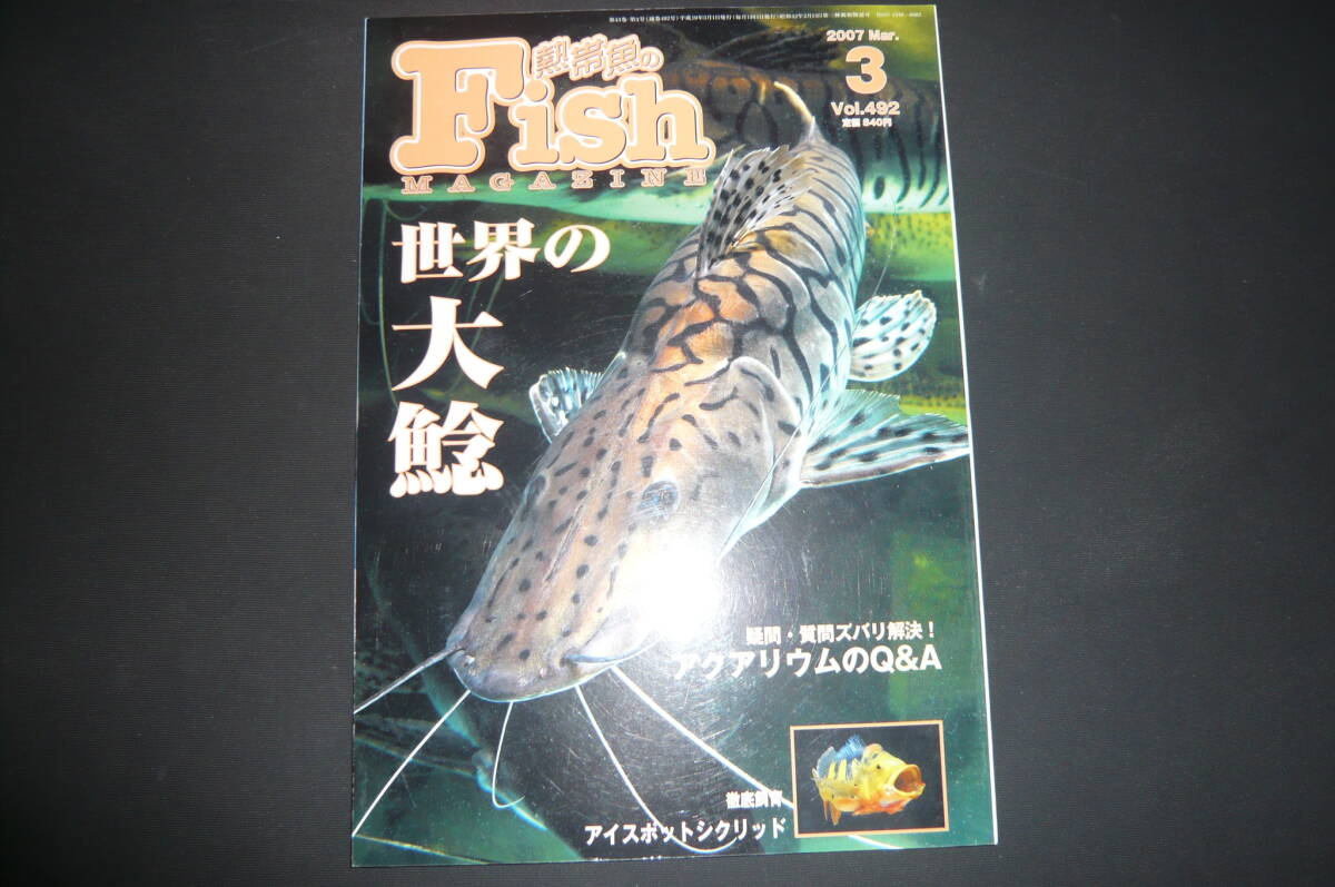 バックナンバー フィッシュマガジン 2007年3月号 No.492 世界の大鯰 used_画像1