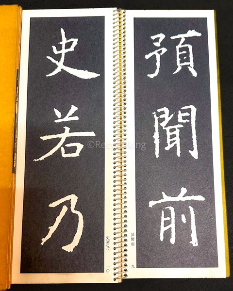 二玄社 拡大法書選集/書作品のまとめ方 24冊 手本 中国 書道 金石 書画 石刻 法帖 法書 古書 古本 20240519-5_画像3