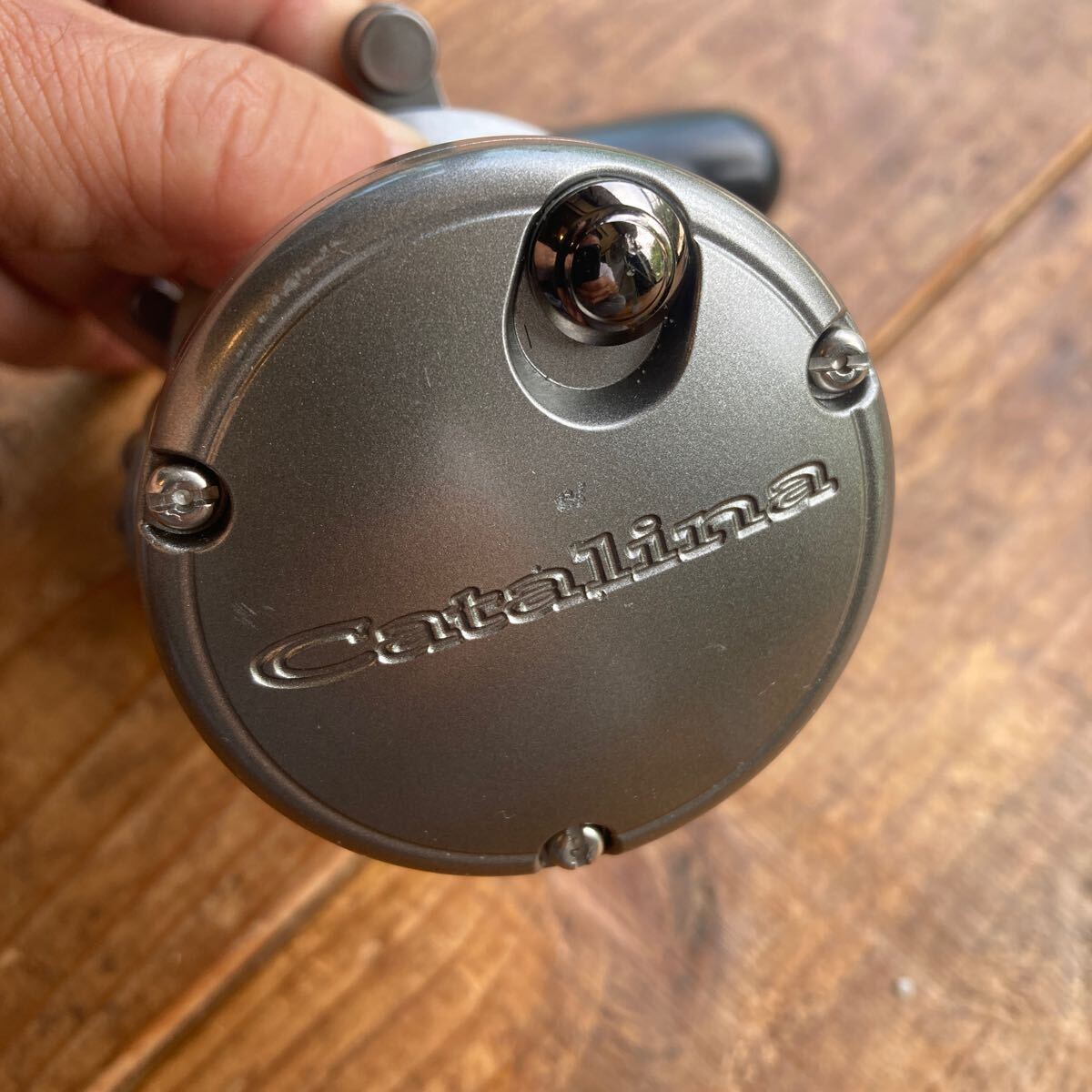6299円 ダイワ daiwa キャタリナ 20H 右ハンドル ライトタックル 6299円 ダイワ daiwa キャタリナ 20H 右ハンドル ライトタックル