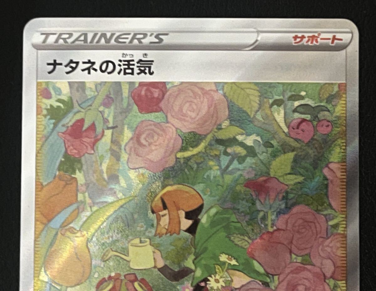 【中古】ポケモンカード ナタネの活気 SAR_画像2