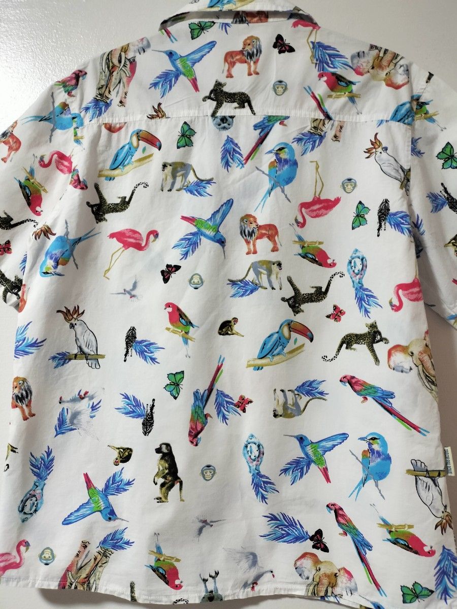 アニマル　総柄　カジュアルシャツ　TAILORPAL LOVE　レデースLサイズ　鳥　猿　ヒョウ　象　蝶々　動物