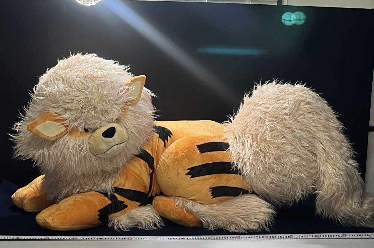 Yahoo!オークション - ポケモン ぬいぐるみ 添い寝 ウインディ Yahoo!オークション - ポケモン ぬいぐるみ 添い寝 ウインディ