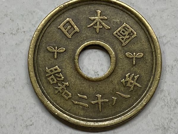 昭和２８年　５円黄銅貨　流通品　NO.7826_画像2