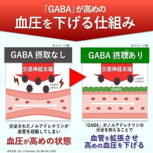 GABA 2袋(60日分/120粒) 血圧 サプリ コクテモ 機能性表示食品_画像5