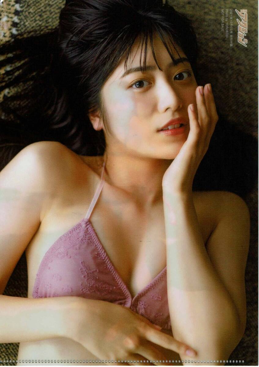 吉田莉桜　クリアファイル　よしだりお　Ｂ５　両面クリアファイル_画像2