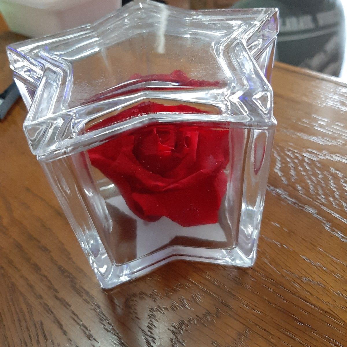 星型 ガラスケース ブリザードフラワー 薔薇