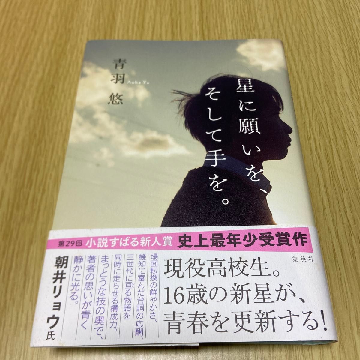 星に願いを、そして手を。 青羽悠／著著作者：青羽悠／著出版者名：集英社出版年月：201702商品形態：２９６Ｐ　２０ｃｍ