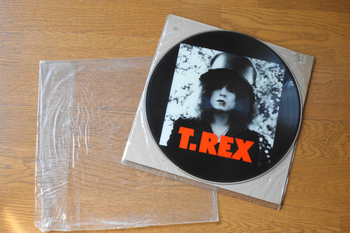 T.REX*レア*海外盤*ピクチャレコード*USED*マニア*コレクター_画像1