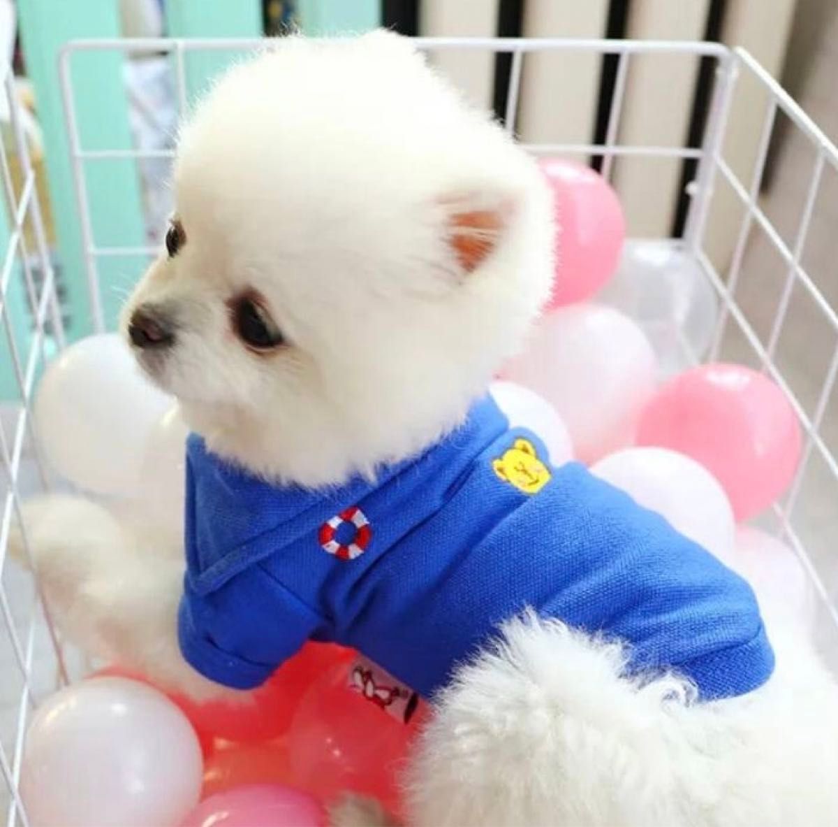 犬 犬服 M 夏 ピンク チェック かわいい シャツ ギンガムチェック 小型犬