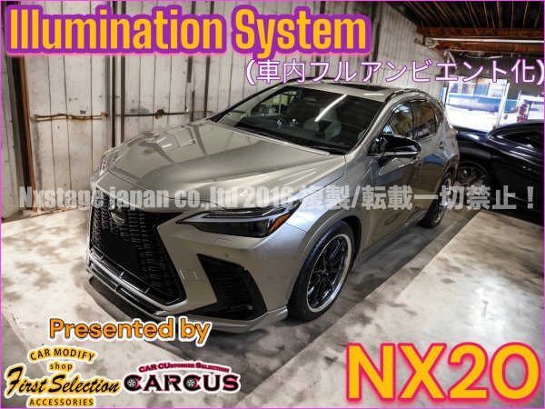 20系NX全車種☆全グレOK！商品代+来店取付工賃込★爆光(100段階調光)イルミネーション◆64色_光源分けもOK◆NX450h+ NX350h NX350 NX250☆_画像2