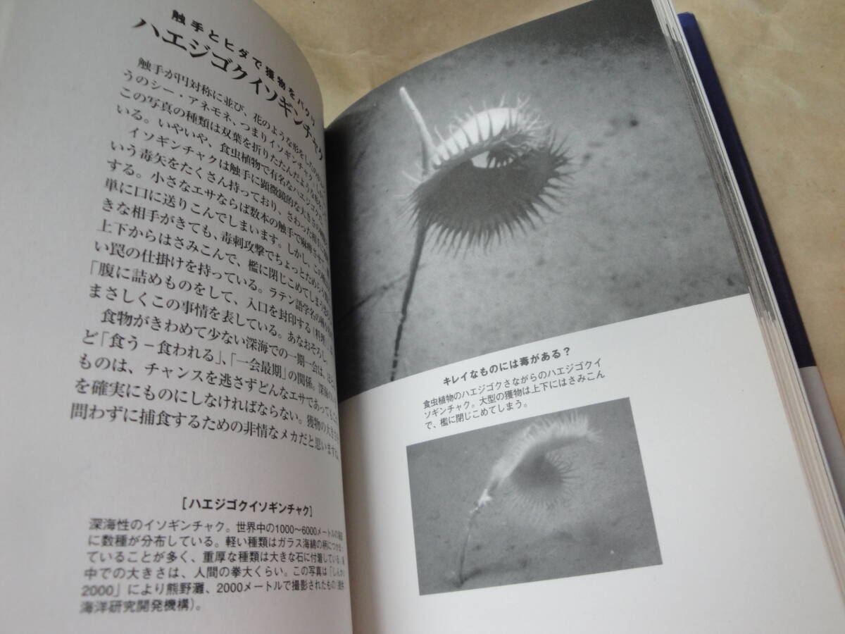 ☆《しんかいの奇妙ないきもの（深海7500メートルまでのいきものたち)》☆送料130円 未知の世界 珍魚 夢 収集趣味_画像5