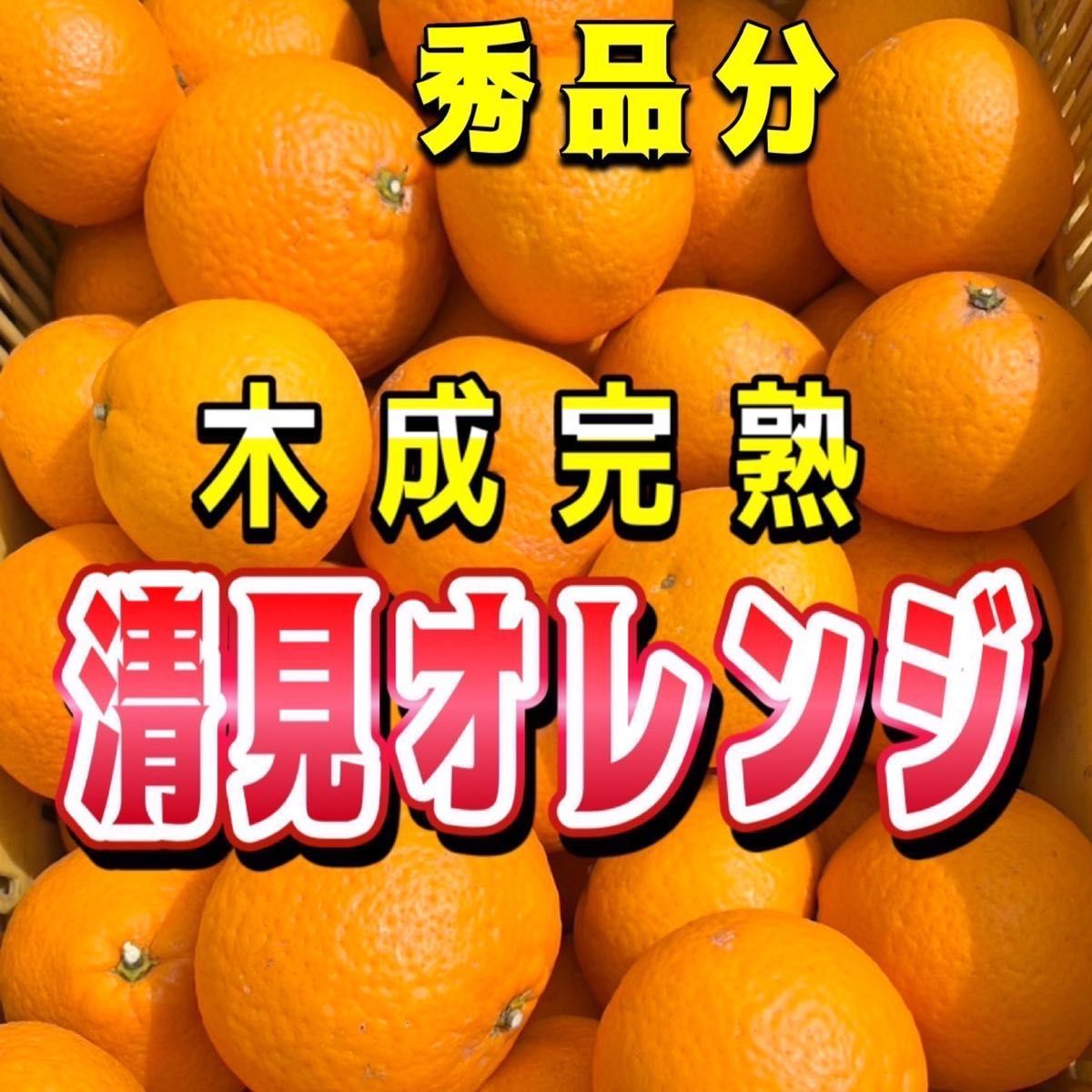 清見オレンジ　【低農薬】木なり完熟　秀品分　約5キロ　別格で甘い