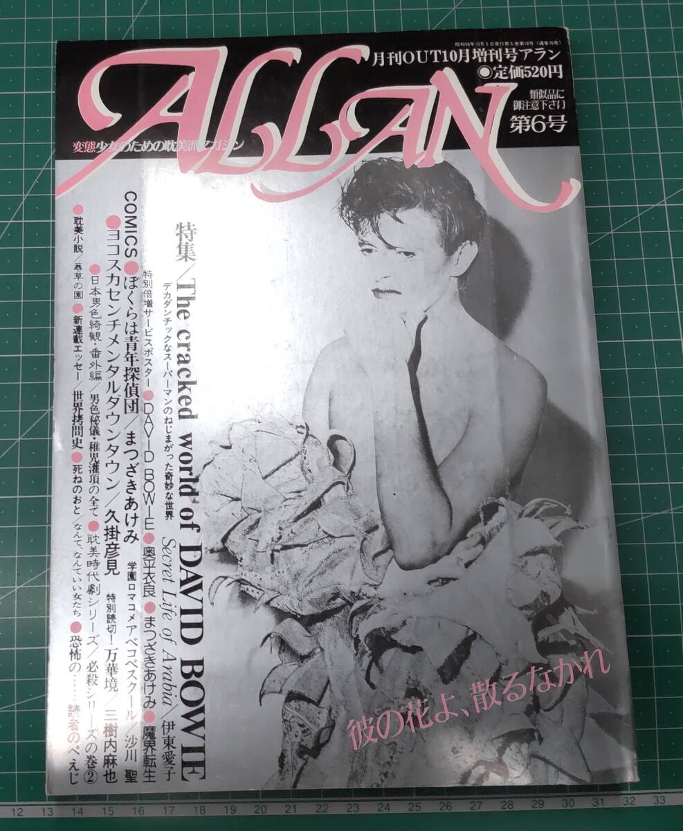 ALLAN　アラン　第6号　1981年/昭和56年　月刊OUT10月増刊号　少女のための耽美派マガジン　デヴィッド・ボウイ　●H3712_画像1