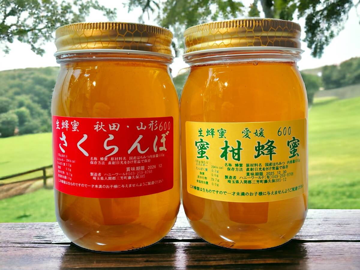 さくらんぼ蜜 みかん蜜 とっても稀少国産　生はちみつ　各600g計1200ｇ 国産純粋　 ご覧くださりありがとうございます！ _画像1