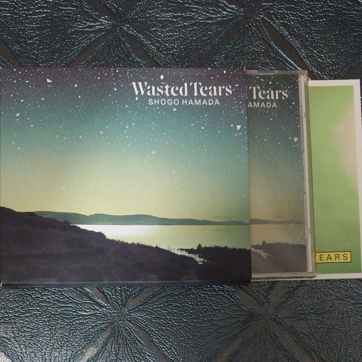 浜田省吾 / WASTED TEARS