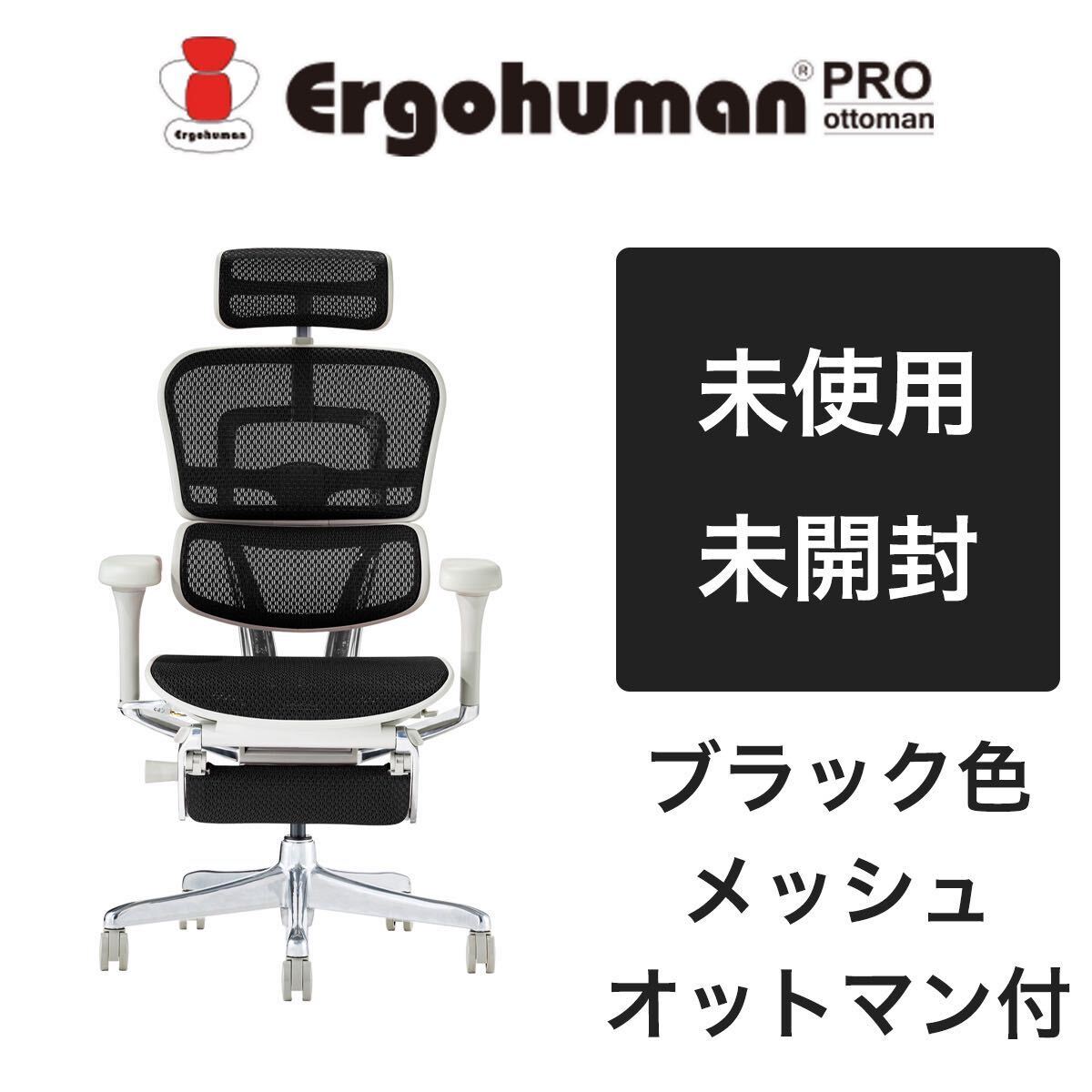 【未使用品】エルゴヒューマン プロ 2Ergohuman Pro オフィスチェア EHP2-LPL-GF-BK_画像1