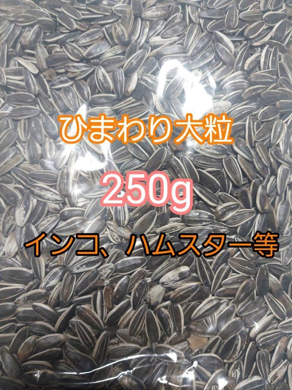 ひまわりの種 大粒 250g ひまわりの種 鳥の餌 小動物の餌 オウム インコ ハムスター