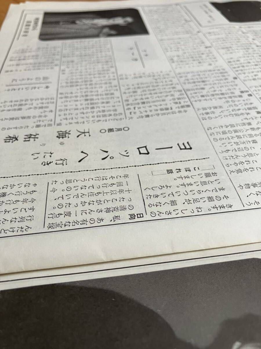 90年代宝塚② 写真記事 レア会報 涼風真世 天海祐希 麻乃佳世　新聞 雑誌　宝塚ふあん_画像2