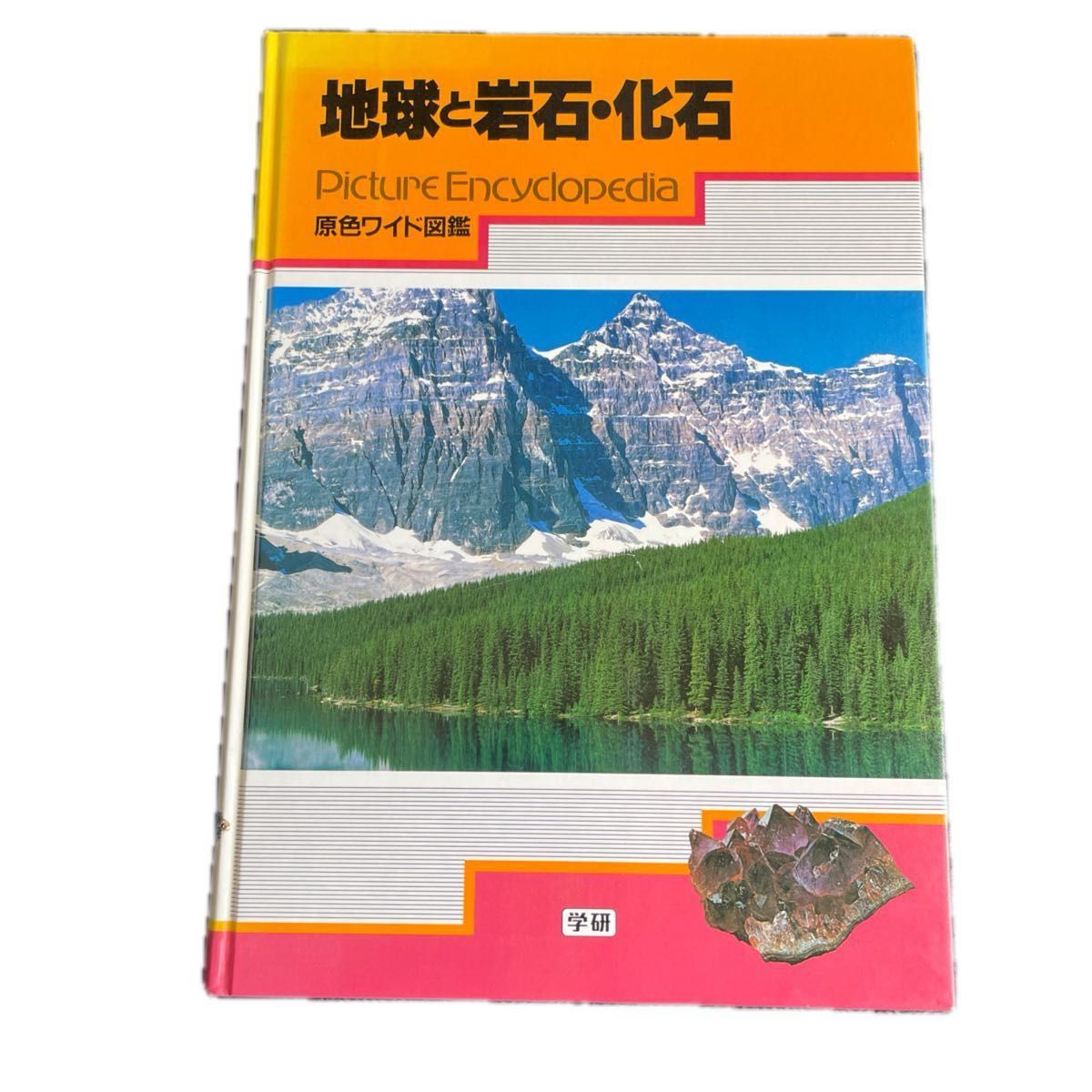 地球と岩石・化石　原色ワイド図鑑