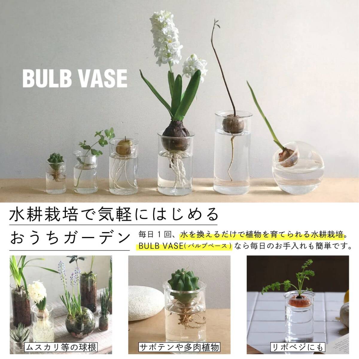 SPICE OF LIFE(ス) 水替えしやすい 水栽培ガラスベース 花瓶 BULB VASE バルブベース クリア ショート 直径8cm 高さの画像5