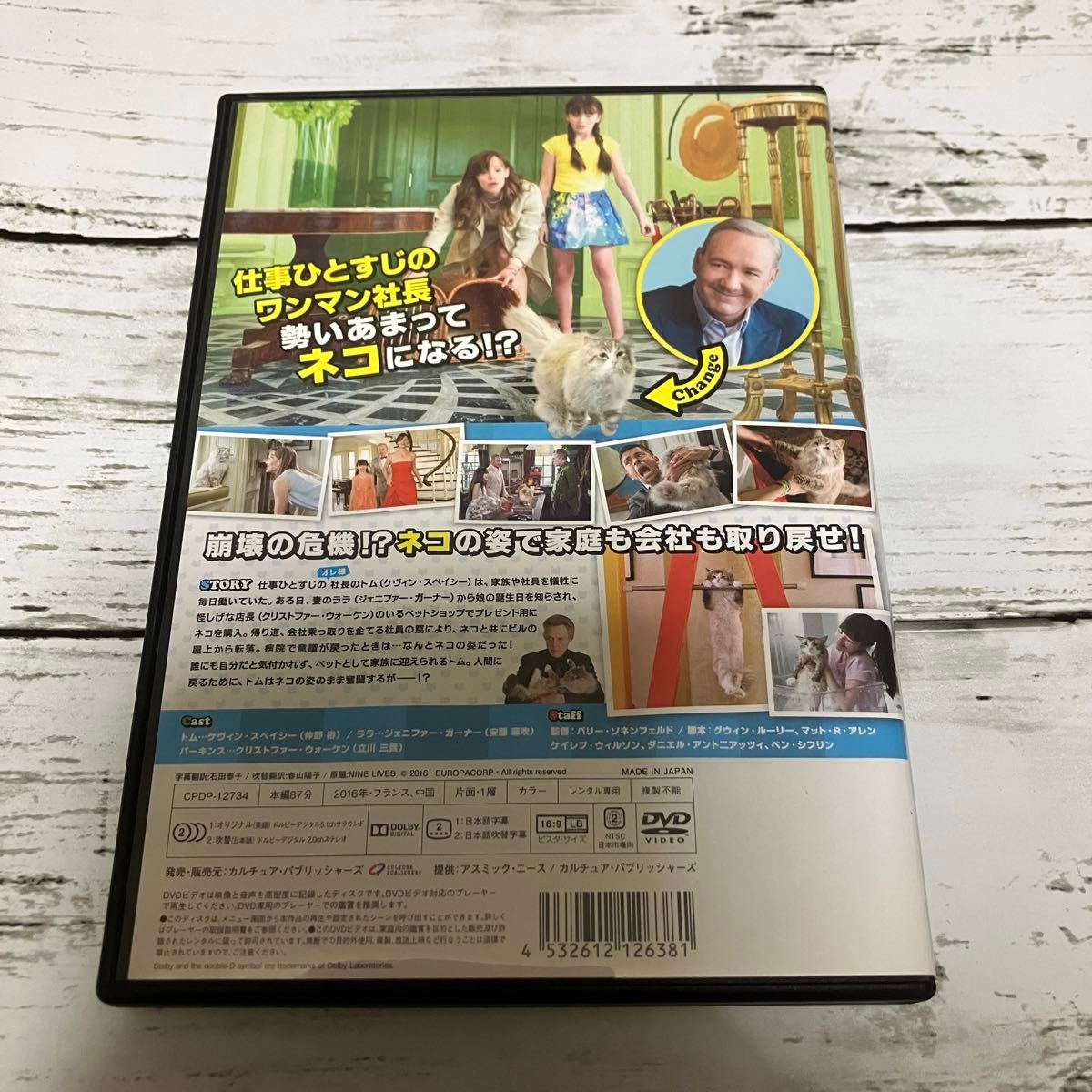 メン・イン・キャット DVD レンタルアップ メンインキャット フランス 中国 コメディ
