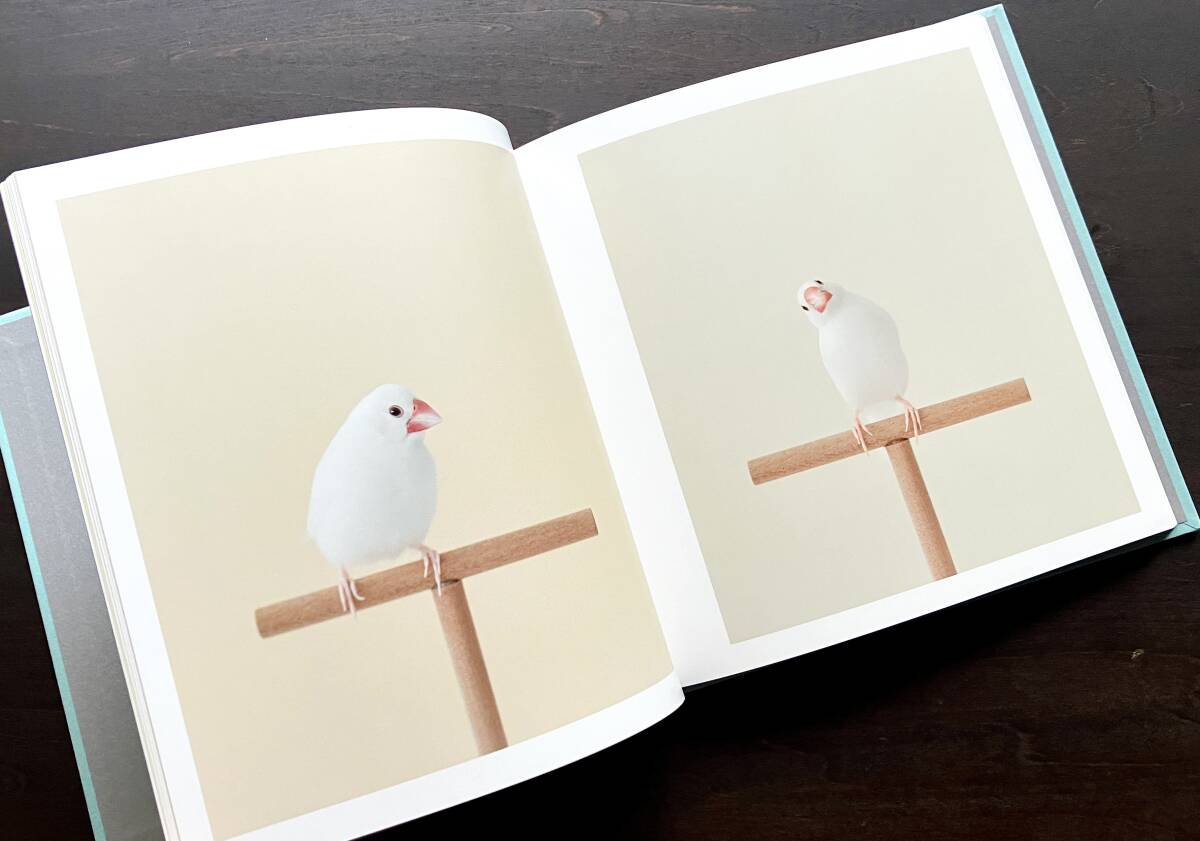 [ первая версия ][ BECKBOOK ]....,....DOZONO STUDIO 2020 * белый документ птица Beck .. love .. ежедневно. фотография ... 2 шт. комплект искусство книжка запад гора .