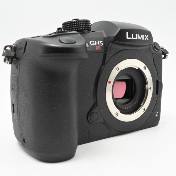 【新品級の極上美品/動作◎】　パナソニック ミラーレス一眼カメラ ルミックス GH5S ボディ DC-GH5S_画像3