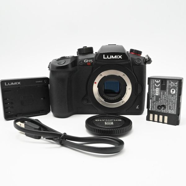 【新品級の極上美品/動作◎】　パナソニック ミラーレス一眼カメラ ルミックス GH5S ボディ DC-GH5S_画像1