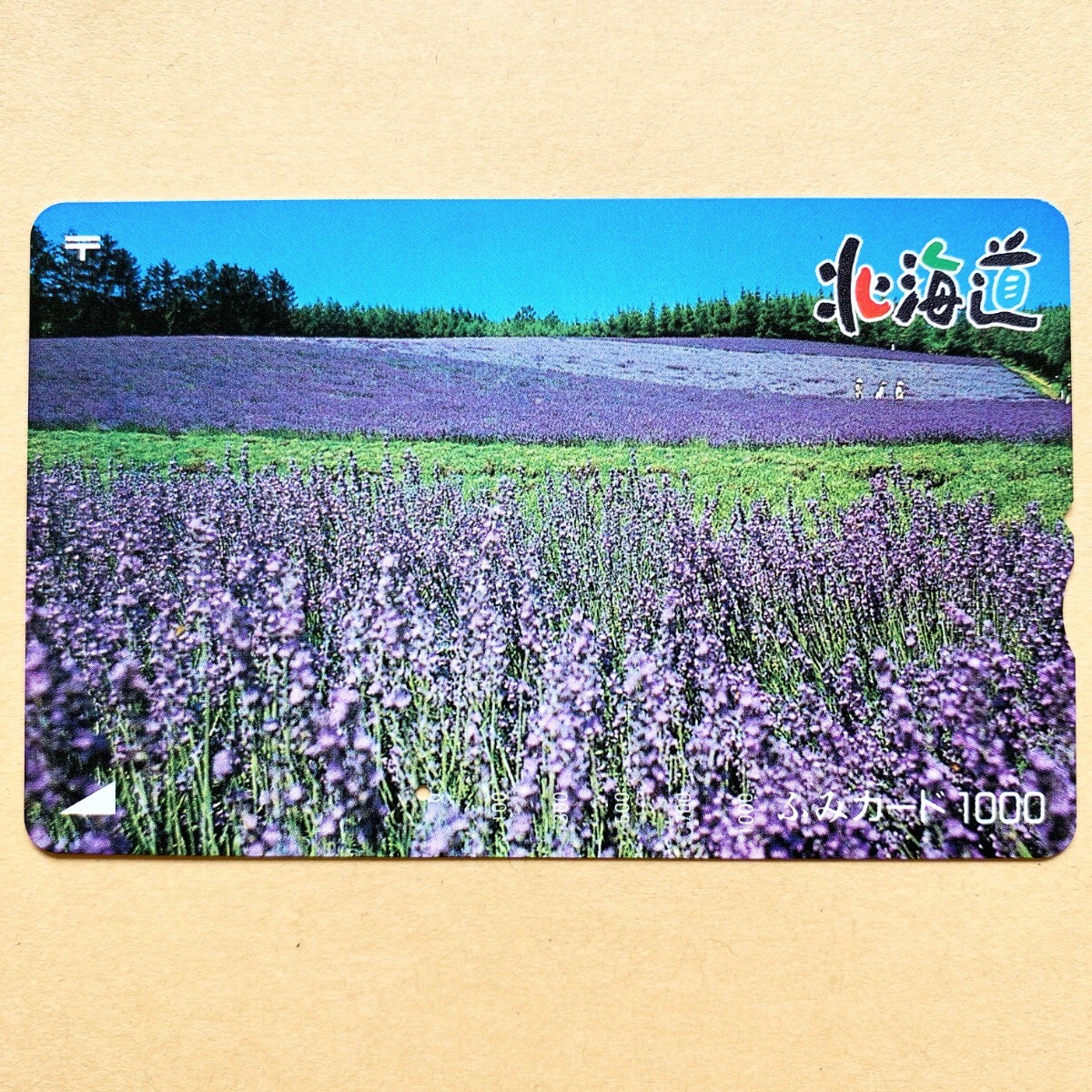 【使用済】 花ふみカード 北海道 ラベンダー畑_画像1
