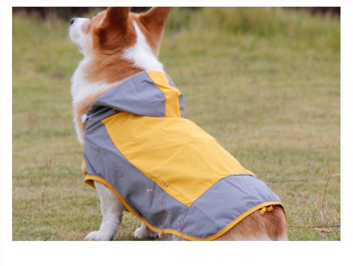 犬 レインコート 大型犬 中型犬 着せやすい 犬用レインコート ドッグウェア 犬服 防寒着 ベスト 小型犬