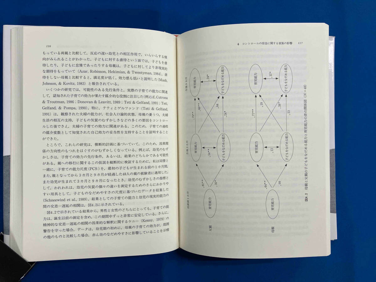 激動社会の中の自己効力 本明寛_画像6