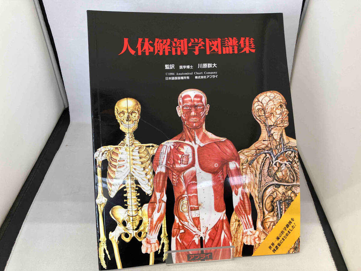 人体解剖学図譜集_画像1