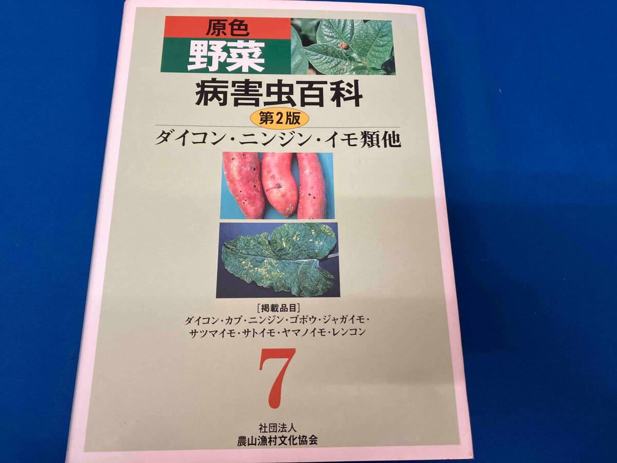 ポークチョッパー 悪徳選挙屋」 立風書房 ロス・トーマス著、1974年初版 絶版|外国人作家 ポークチョッパー 悪徳選挙屋」 立風書房 ロス・トーマス著、1974年初版 絶版|外国人作家