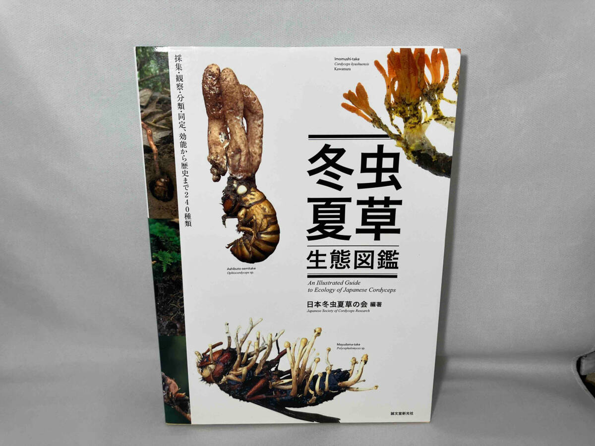 Yahoo!オークション - 冬虫夏草生態図鑑 日本冬虫夏草の会 Yahoo!オークション - 冬虫夏草生態図鑑 日本冬虫夏草の会