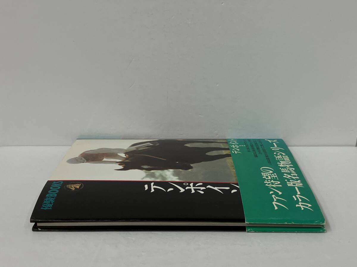 帯付き 初版(1991年) 優駿BOOKS　テンポイント_画像5